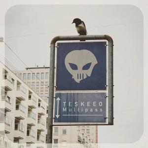 Multipass