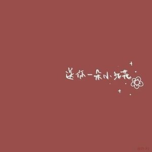 送你一朵小红花 高璇智（翻自 高先生）