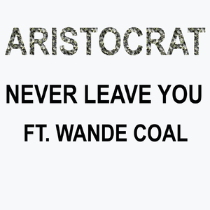 Never Leave You (feat. Wande Coal)