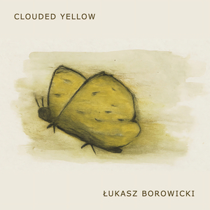 Clouded Yellow