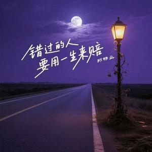 错过的人要用一生来赔