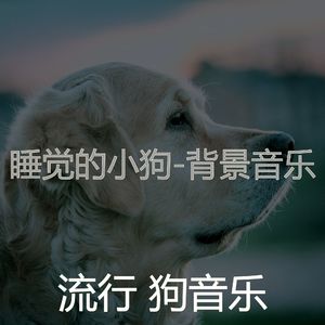 狗午睡(回忆)