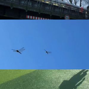 傻傻不懂表達自己的人