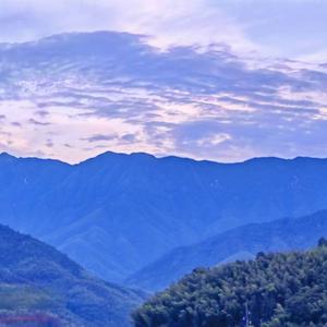 无人之岛（深情版）