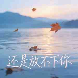 还是放不下你