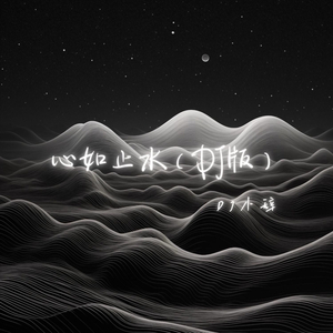 心如止水（DJ版）