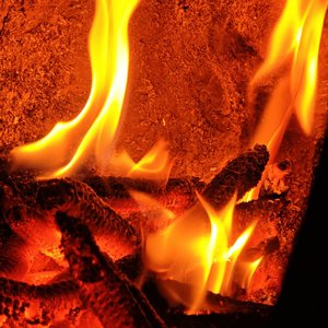 归处何方-音频1 (1)