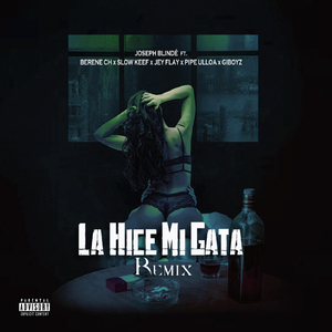 La Hice Mi Gata (Remix) [feat. Slow Keef, Jey Flay, Pipe Ulloa & Giboyz]