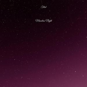 Moonless Night