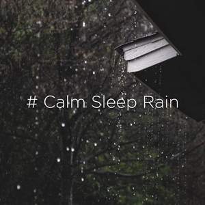 ASMR Rain Sounds