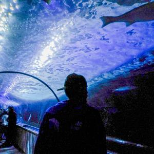 PSYCHO (feat. YoungSprout)