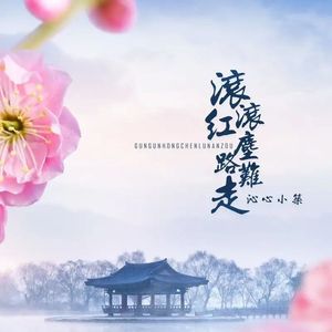 滚滚红尘路难走 (女版)