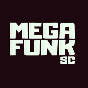 MEGA FUNK ESPECIAL TAI DIGITAL