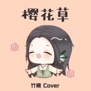 【竹曦】樱花草