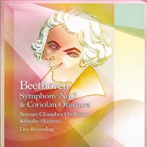 Symphony No. 7 in A Major, Op. 92: III. Presto – Assai meno presto
