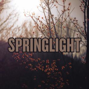 Springlight