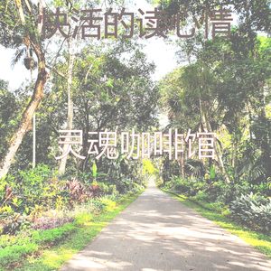 精致的假期环境