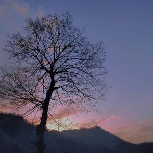 这城市风总是很大