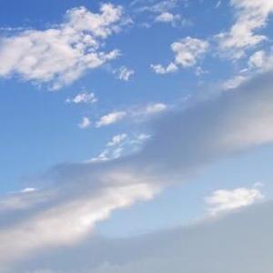 听说爱情回来过