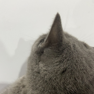 我还年轻 我还年轻