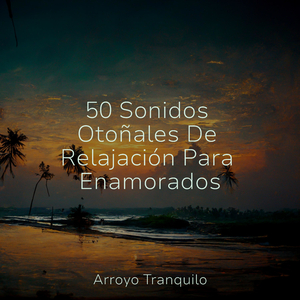 Momentos Tranquilos En El Río