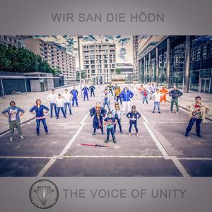 Wir san die Hödn