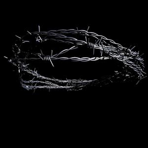 We Mistook the Dark for Grace