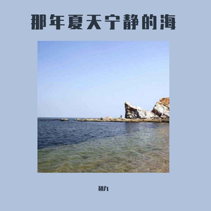 那年夏天宁静的海