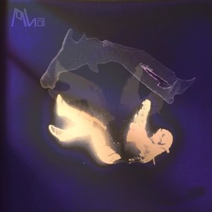 坠落（Prod By 9Zi)