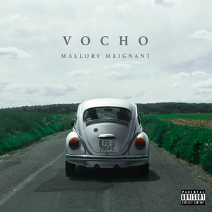 Vocho