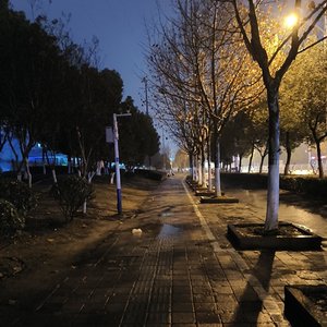 窗边雨（Prod by Slim Dyane）