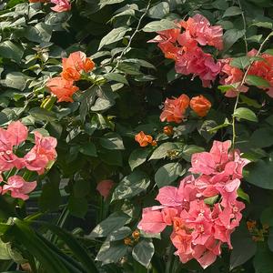 I Want You Too (feat. Sonny Zero)