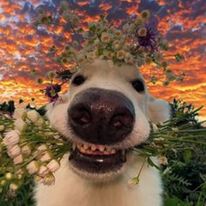 3008 Friday Theme but crunchy