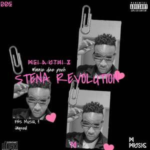 Stena Revolution