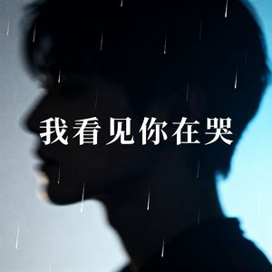 我看见你在哭