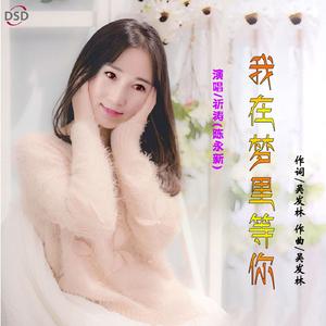 我在梦里等你