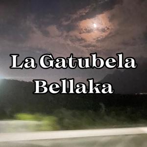La Gatubela Bellaka