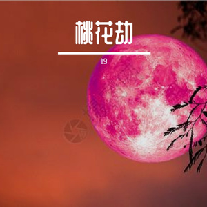 桃花劫