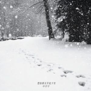 想你那天开始下雪