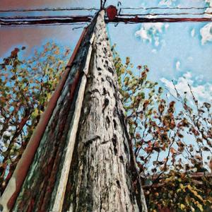 Absorption Of The Four Terrestrials