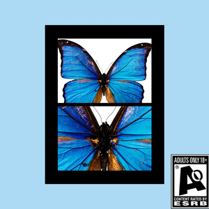 swings（Prod By Ljx Ghost）