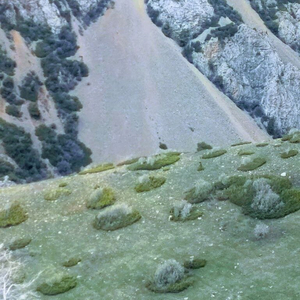 Наслаждение