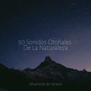 Girando en sueños de luz del día