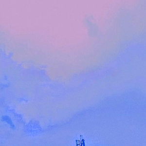 BonDai