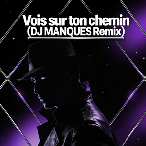 Vois sur ton chemin (DJ MANQUES Remix)