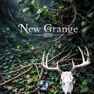 New Grange (Start Together Session)