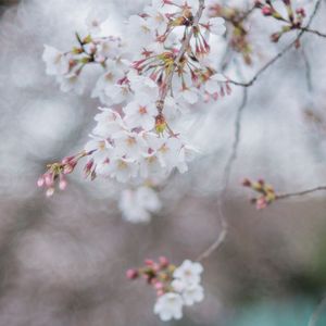 c1a5_cd76_4094_c6341cc380acb50a3f7befe7fe349b40