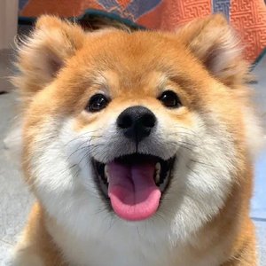 危险派对（男声片段）