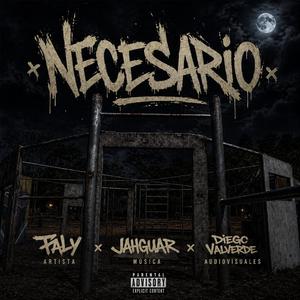 Necesario