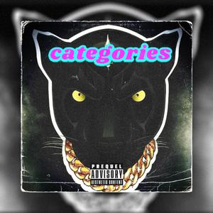 Categories